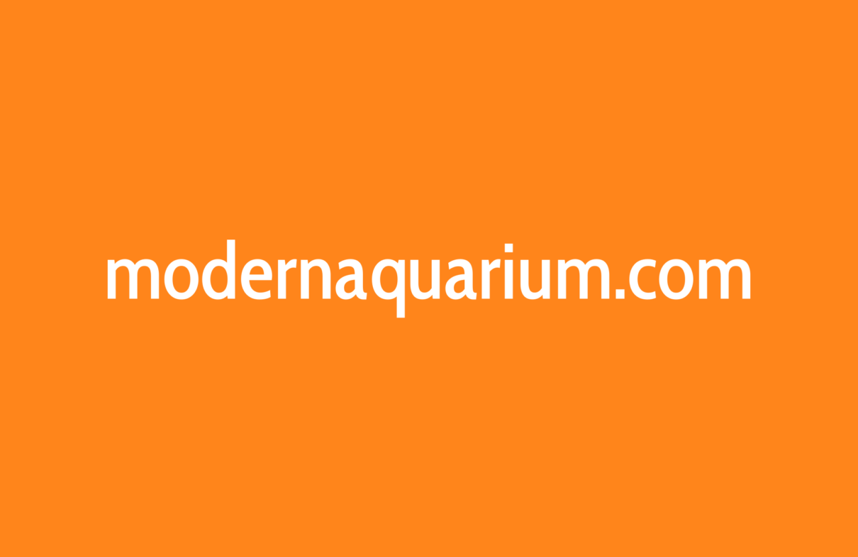 modern aquarium portfolio image