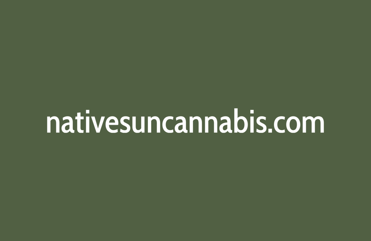native sun cannabis